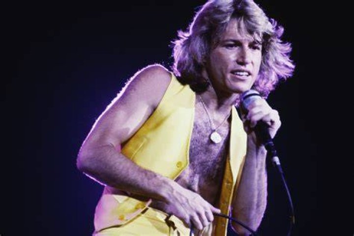 Andy Gibb Biography