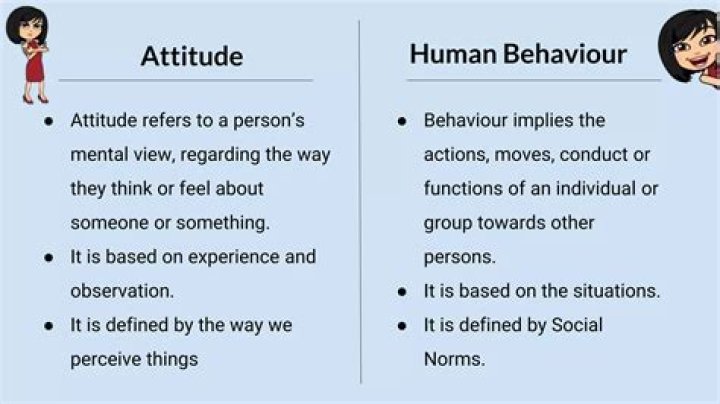 Attitude