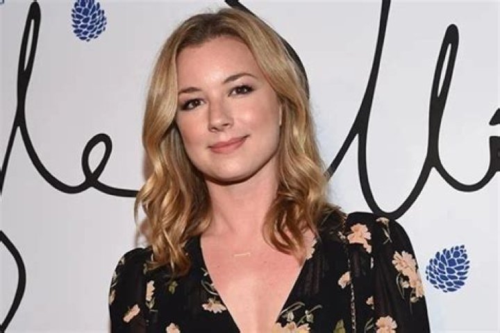 Emily VanCamp Net Worth