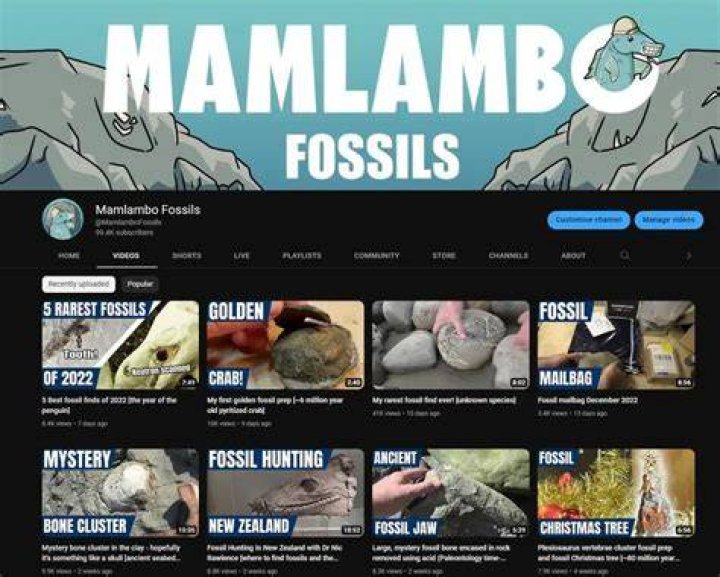 Mamlambo Fossils